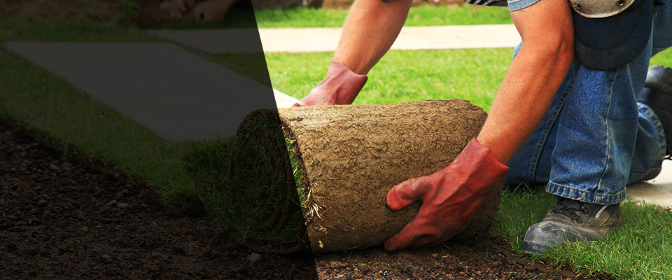 Lake Arthur Landscapers